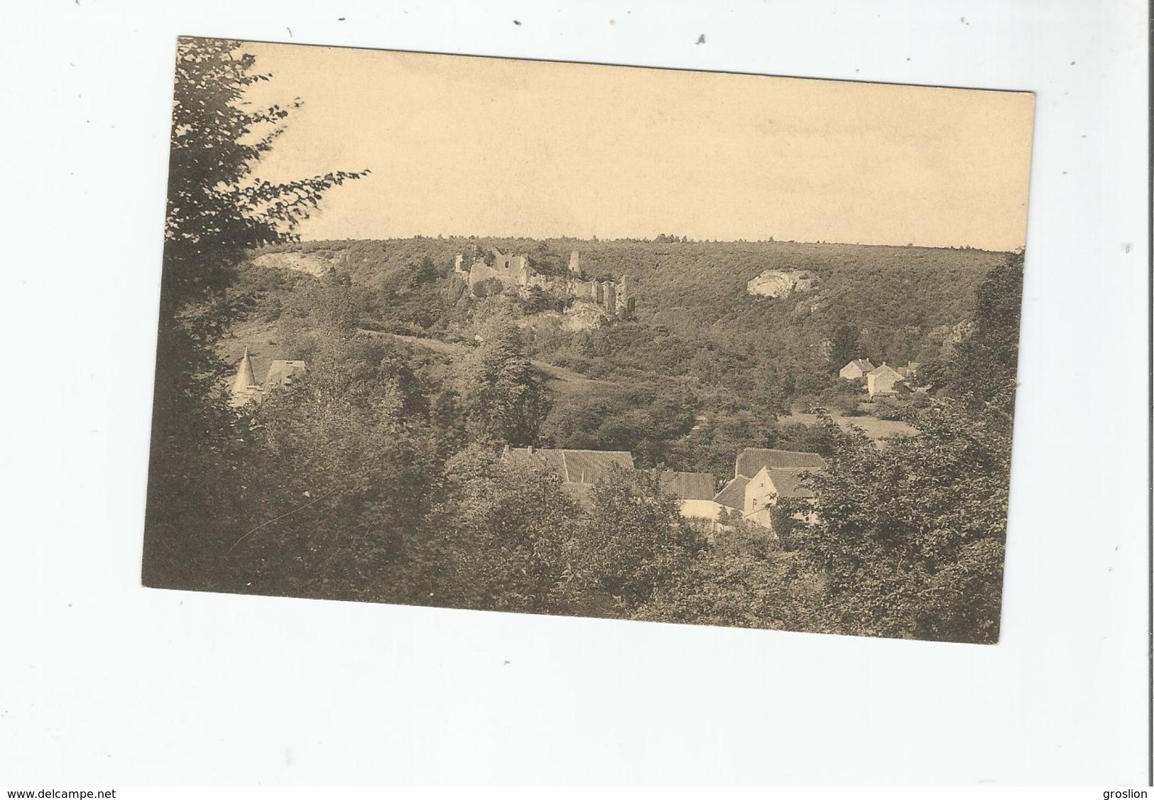 FALAEN (ONHAYE)  VALLEE DE LA MOLIGNEE . LES RUINES DE MONTAIGLE . PANORAMA DE MARTEAU - Onhaye