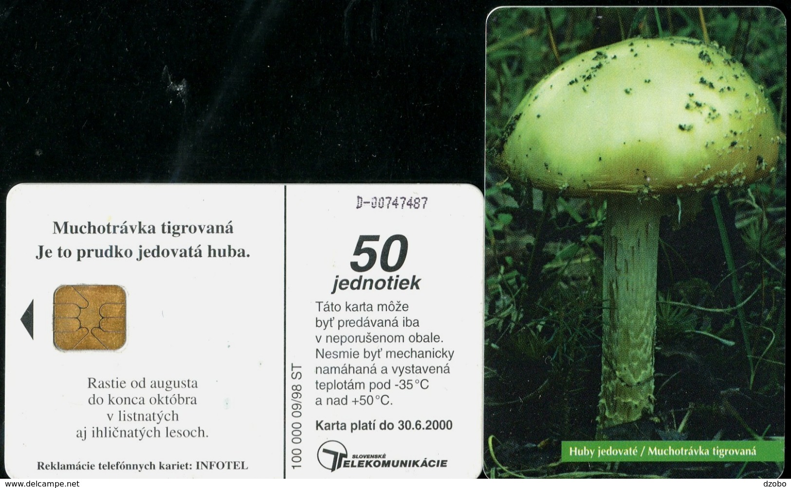 027-SLOVAKIA Telephone Card-chip Mushrooms III.-Panther Cap 100.000 Pcs 50 Units (A87) 1998 - Fleurs