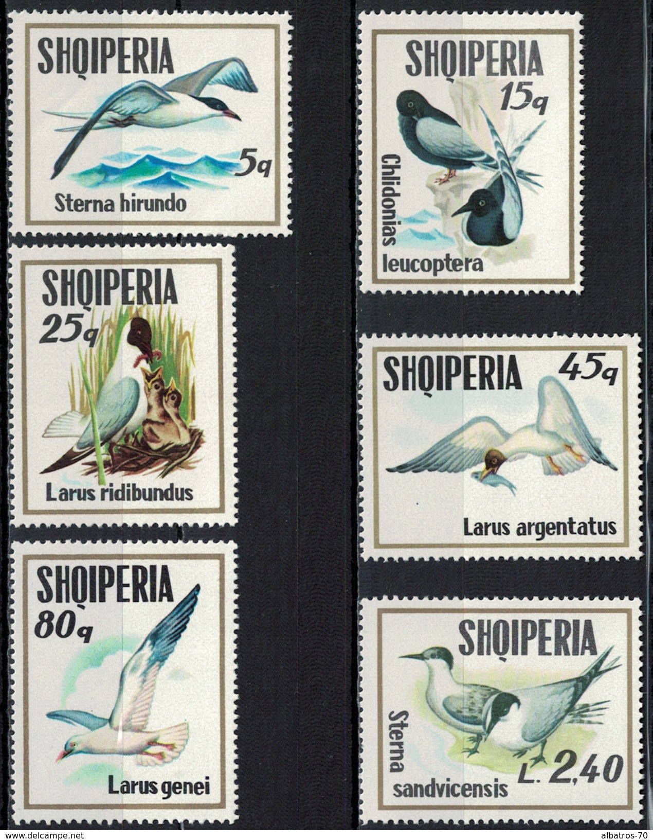 Albania 1973 _ Seabirds - Full Set MNH** - Albania