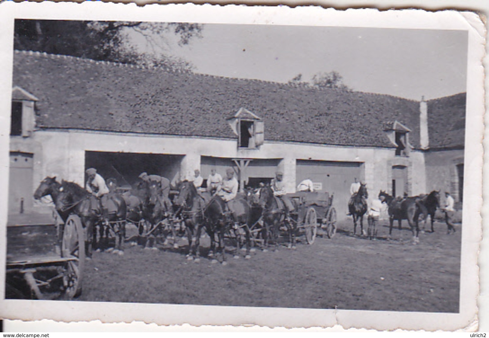 Foto Deutsche Soldaten Mit Pferden Und Gespann - 2. WK - 8*5cm (27686) - Krieg, Militär