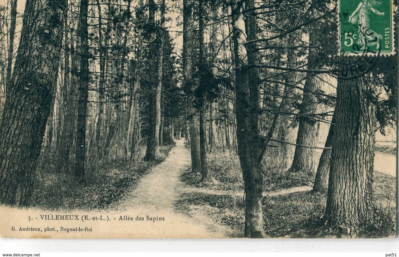 28 - Villemeux : Allée De Sapins - Villemeux-sur-Eure