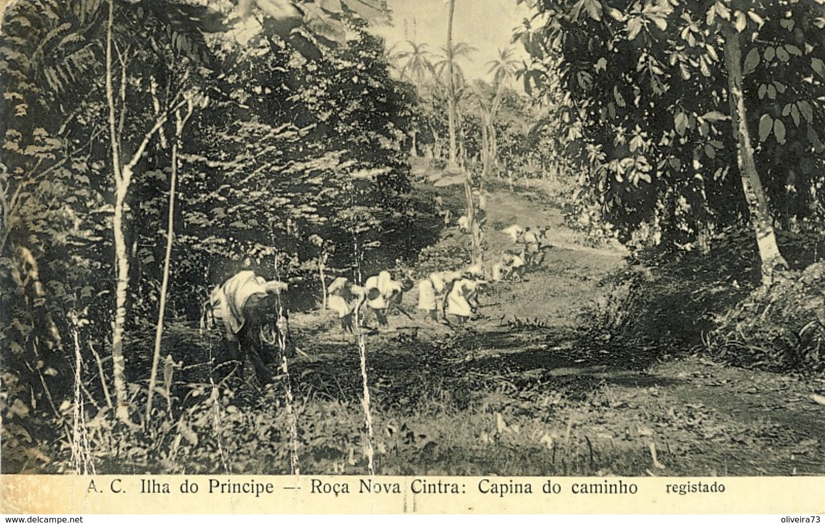 S SÃO TOMÉ - ILHA DO PRINCIPE - Roça Nova Cintra - Capina Do Caminho - Sao Tome En Principe