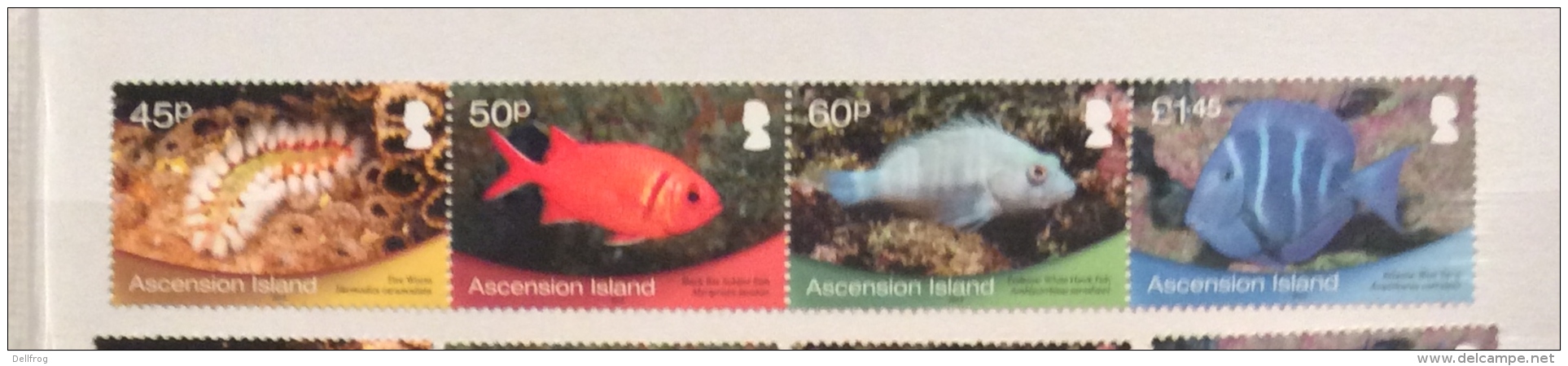 Ascension 2013  FISH STRIP SET  MNH - Fishes