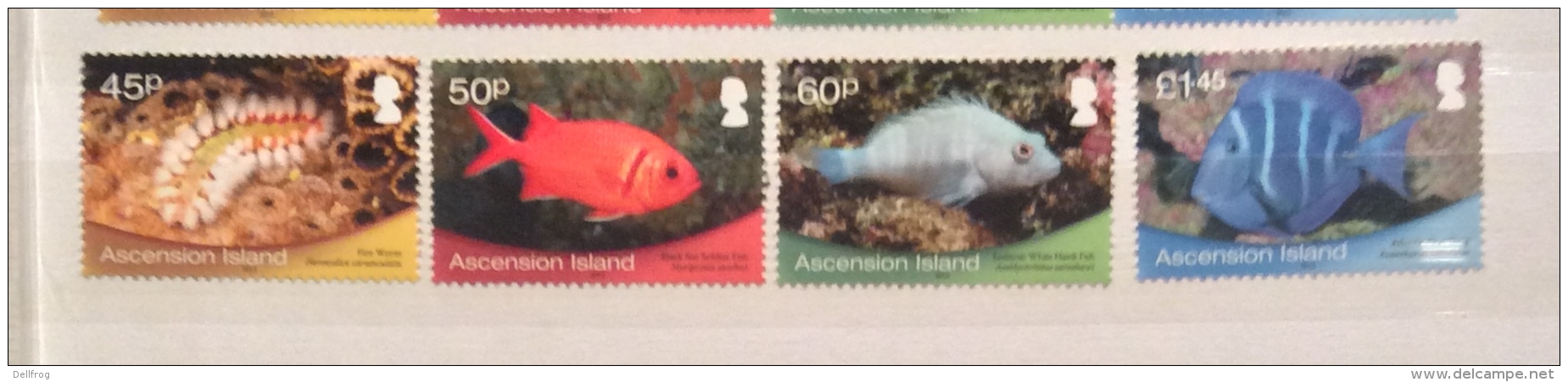 Ascension 2013  FISH  SET  MNH - Vissen