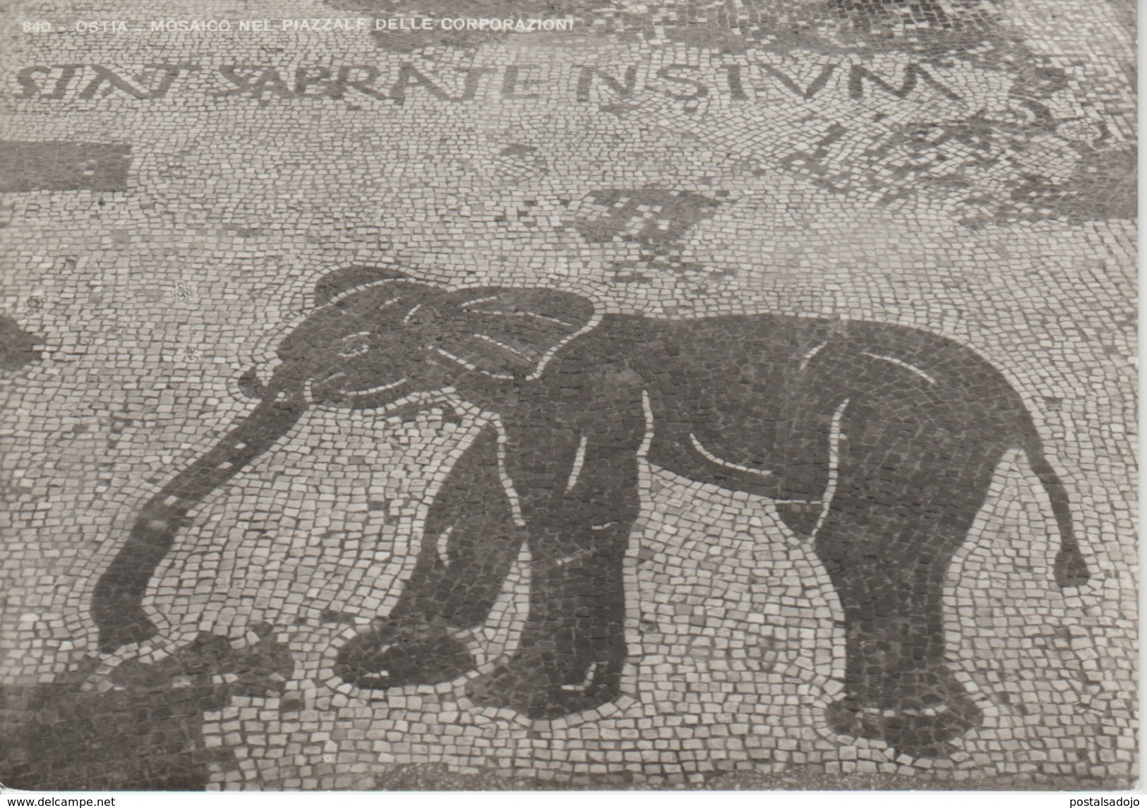 (IT786) OSTIA. MOSAICO ELEPHANT .. UNUSED - Otros & Sin Clasificación