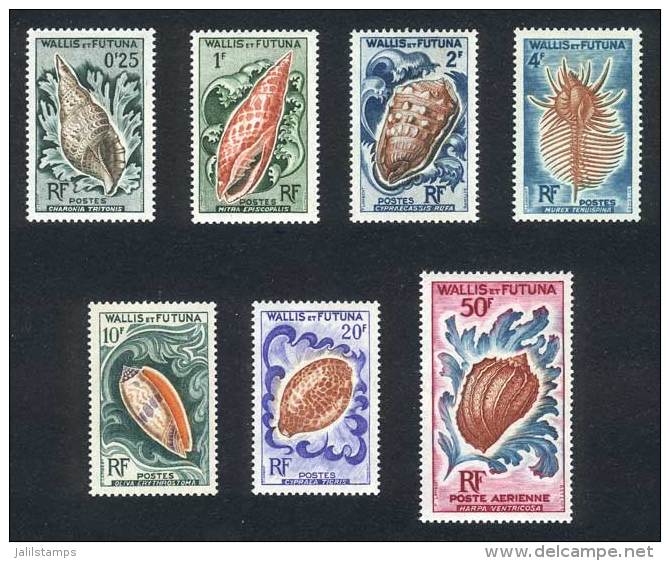 Yvert 162/7 + A.18, Sea Shells, Complete Set Of 7 Values, Superb! - Andere & Zonder Classificatie