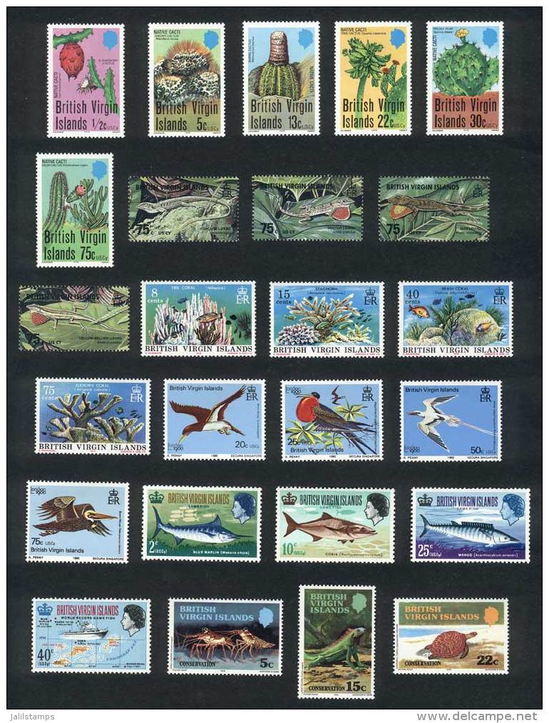 Lot Of Stamps And Complete Sets + Souvenir Sheets, Very Thematic, All Of Excellent Quality, Low Start! - Britse Maagdeneilanden