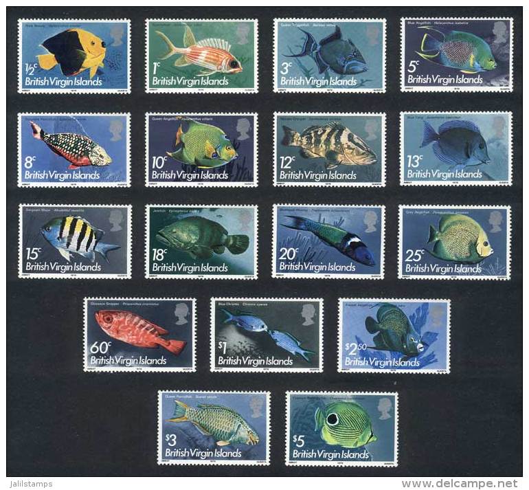 Yvert 282/98, Fish, Complete Set Of 18 Values, Excellent Quality! - Britse Maagdeneilanden