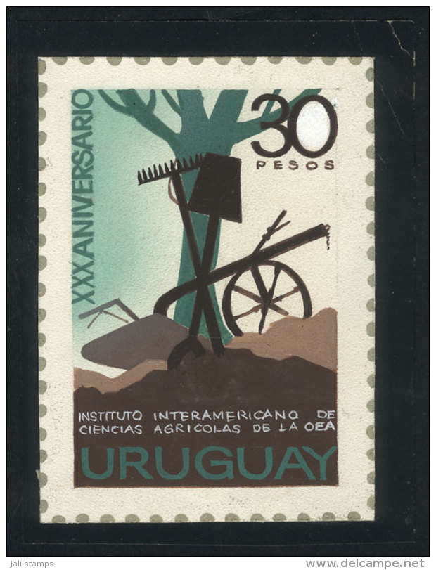 Sc.850, 1973 Institute Of Agricultural Sciencies, Unadopted Artist Design By Angel Medina M., Size Approx. 75 X 105... - Uruguay