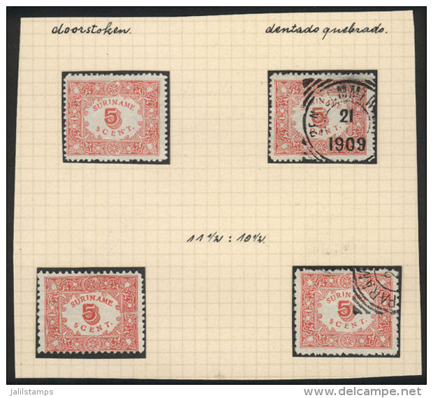 Sc.61/62, 1909 5c. Red Rouletted And Perforated, Mint And Used Examples, VF Quality, Catalog Value US$50+ - Surinam