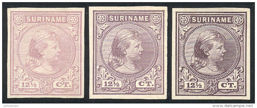 Sc.26, 1892/3 Queen Wilhelmina 12&frac12;c., 3 TRIAL COLOR PROOFS (different Colors), Imperforate, Excellent... - Surinam