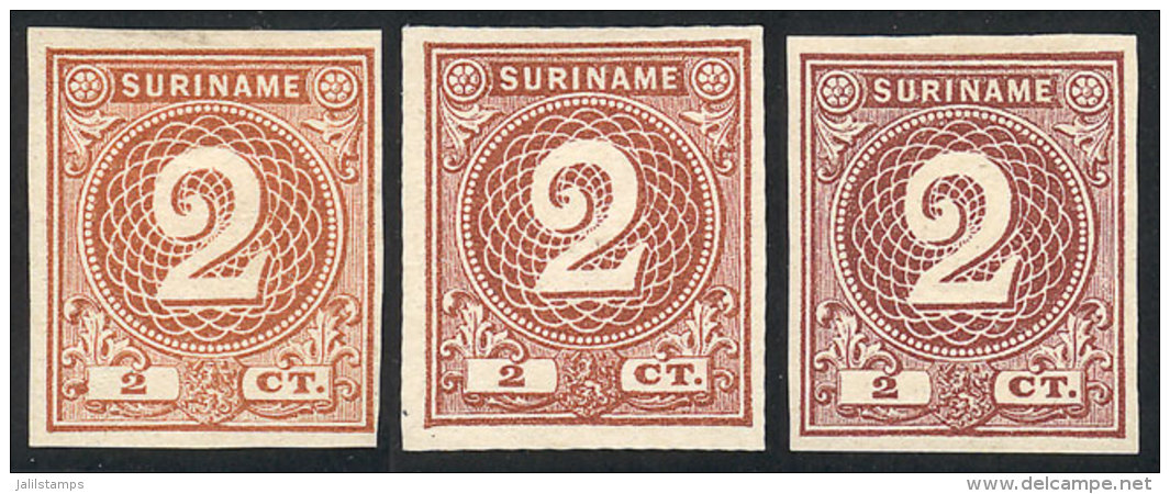 Sc.18, 1890 2c., 3 TRIAL COLOR PROOFS (different Shades), Imperforate, Excellent Quality, Rare! - Surinam