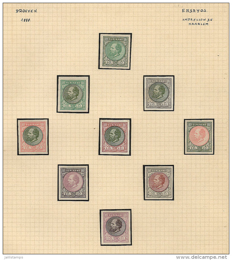 1872/1888 King William III, Collection Of TRIAL COLOR PROOFS On 4 Pages Of An Old Collection, In Total 44 Different... - Surinam