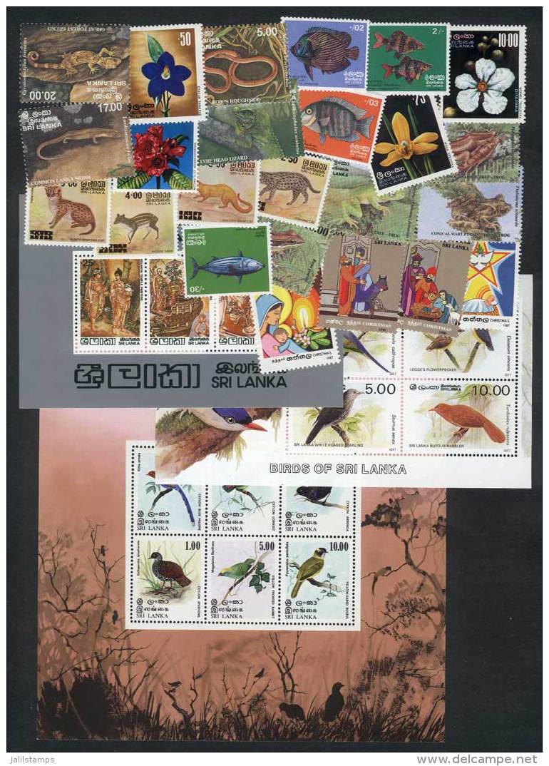 Lot Of Stamps And Complete Sets, Very Thematic, All Of Excellent Quality, LOW START! - Sri Lanka (Ceylan) (1948-...)