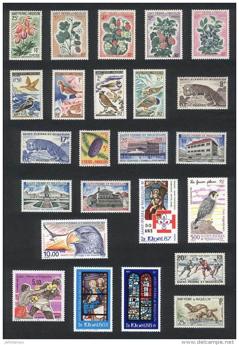 Lot Of Stamps And Complete Sets, Very Thematic, All Of Excellent Quality. Yvert Catalog Value Euros 200+ - Autres & Non Classés