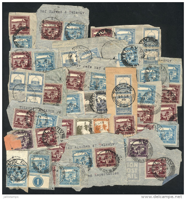 Lot Of Stamps On Fragments Of Covers, Fine Quality, Interesting! - Palestine