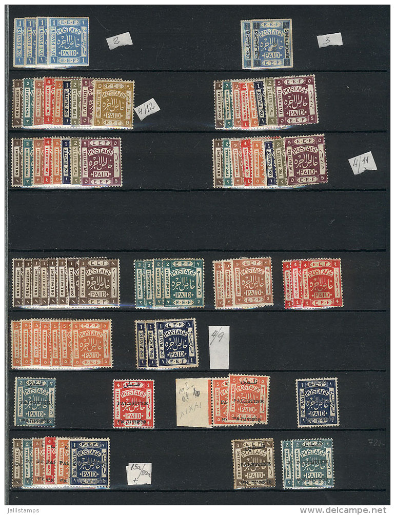 Stock Of Mint And Used Stamps, Most Of Very Fine Quality, Perfect Lot To Look For Varieties And Good Cancels. There... - Palestine