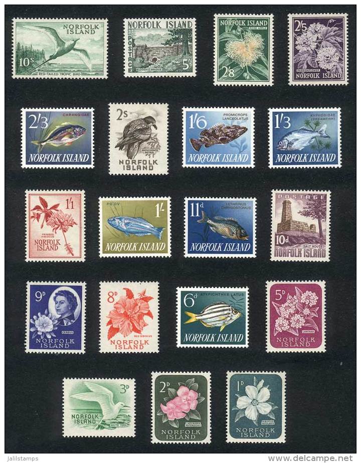 Yvert 26/44, Birds, Fish And Flowers, Complete Set Of 19 Values, Excellent Quality! - Ile Norfolk