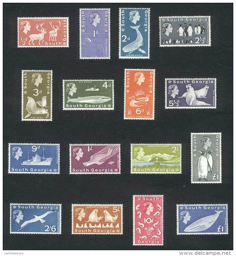 Yvert 9/24, 1963/9 Fauna, Complete Set Of 16 Values, Excellent Quality, Yvert Catalog Value Euros 350. - Falkland