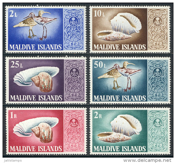 Sc.282/287, 1968 Birds And Sea Shells, Compl. Set Of 6 Unmounted Values, Excellent Quality, Catalog Value US$26.80 - Maldives (1965-...)