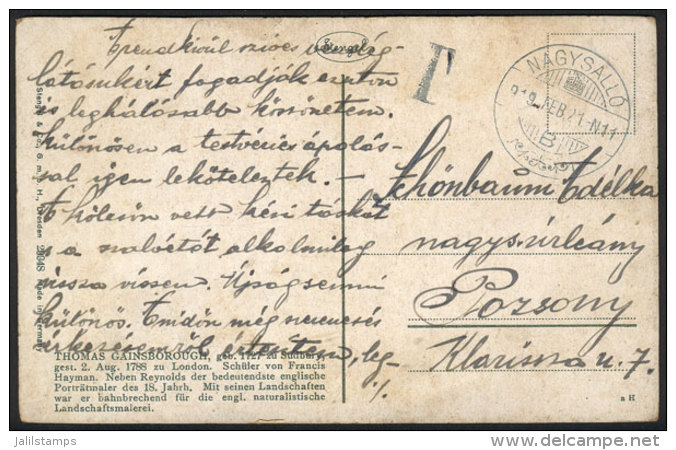 PC Posted On 21/FE/1919 With No Postage And Postage Due Mark, Interesting! - Autres & Non Classés