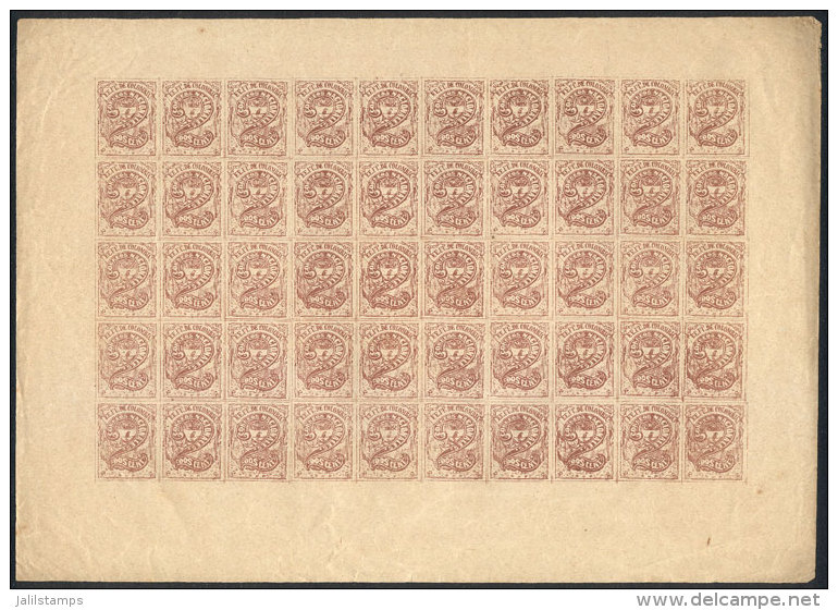 Yvert 50, Complete Sheet Of 50 Stamps, Very Fine Quality! - Colombie