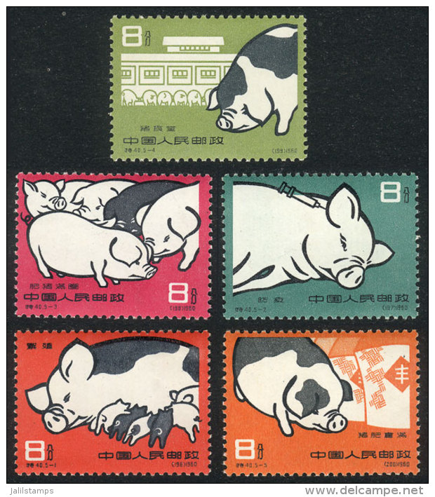 Sc.518/522, 1960 Pigs, Complete Set Of 5 Values, MNH, Fine Quality, Catalog Value US$400. - Andere & Zonder Classificatie