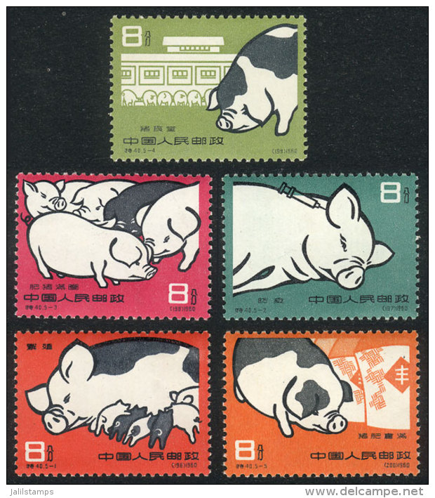 Sc.518/522, 1960 Pigs, Complete Set Of 5 Values, MNH, Fine Quality, Catalog Value US$400. - Autres & Non Classés