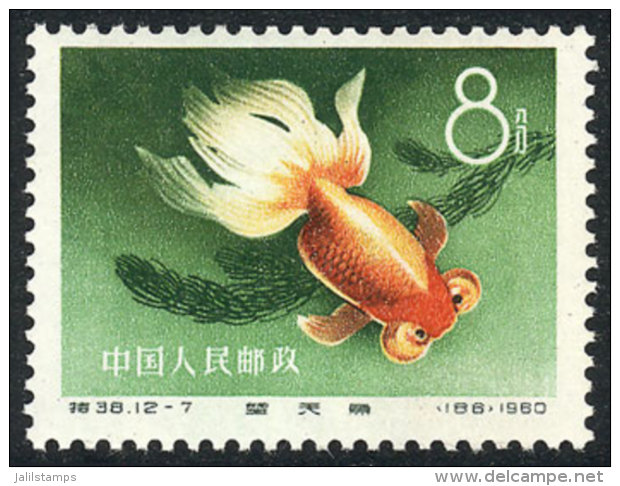 Sc.512, 1960 Fish, MNH, Fine Quality, Catalog Value US$100. - Andere & Zonder Classificatie