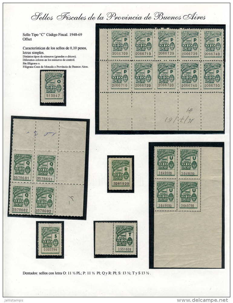 PROVINCE OF BUENOS AIRES: Taxes, Issues Of 1944/1969, Specialized Collection Mounted On 80 Pages, Including A Great... - Otros & Sin Clasificación