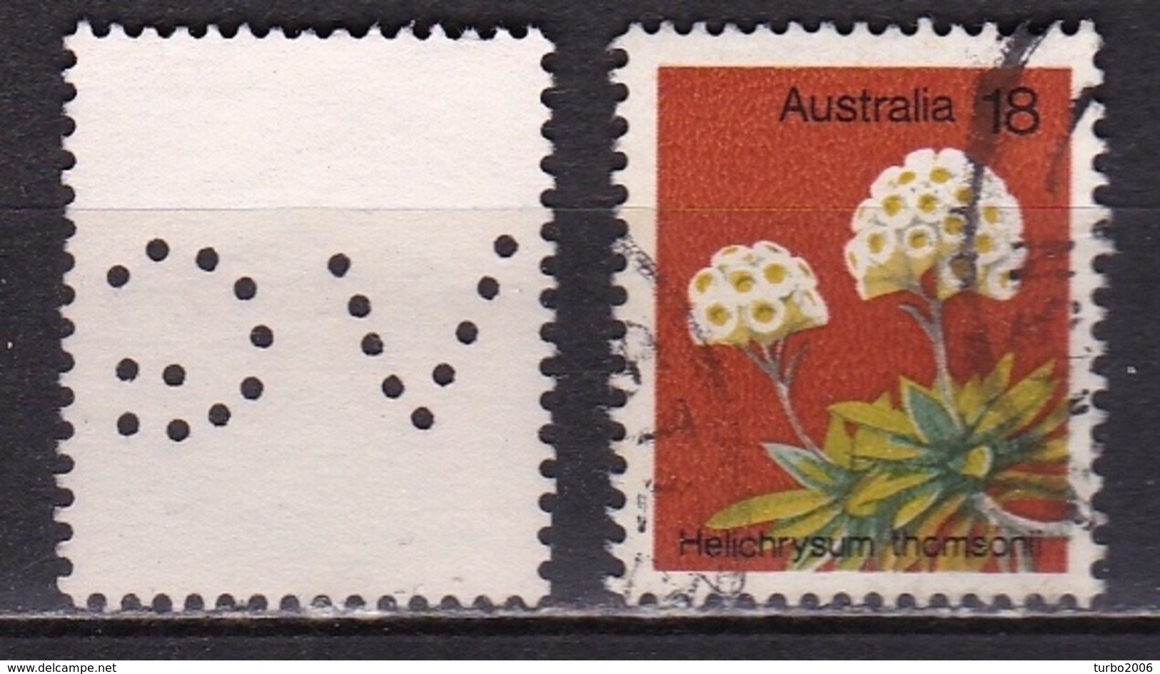 AUSTRALIA 1975 Helichrysum Thomsonii 18 C SG 608 With Perfin V.G. - Used Stamps