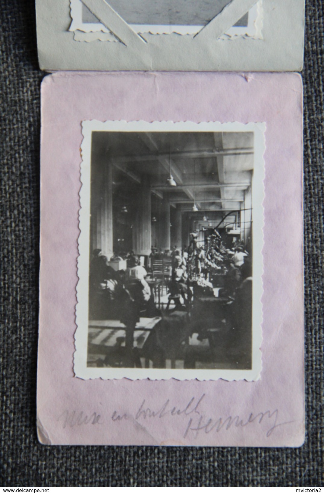 COGNAC, 1933 - Carnet  complet de Photographies du Congrès de l'Association Viticole de FRANCE .