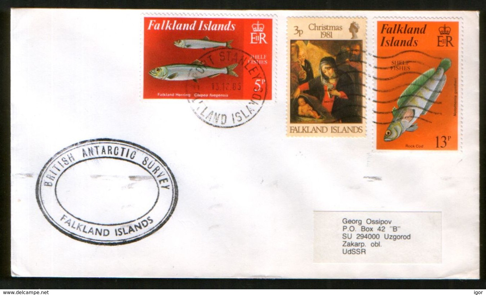 Falkland Islands 1985 Cover British Antarctic Survey, Stamps Fauna, Fish, Christmas - Falkland Islands