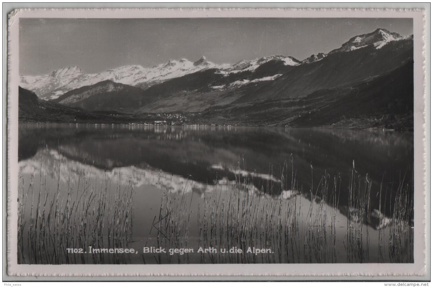 Immensee, Blick Gegen Arth Und Die Alpen Vom Hotel Pension Rigi - Photo: Globetrotter No. 1102 - Arth