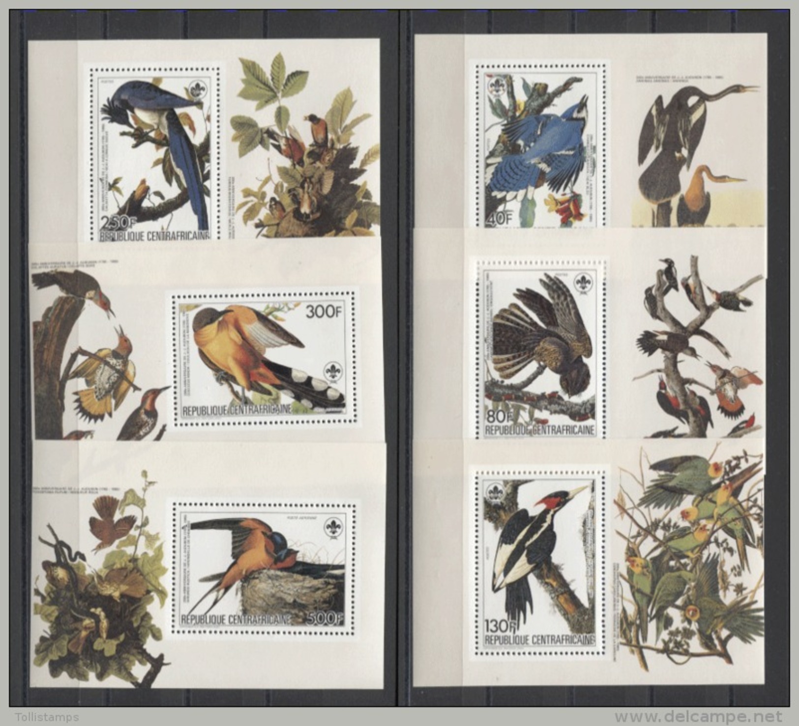 Central Africa Birds Scouts Audubon 1985 6v Deluxe MNH - Autres & Non Classés