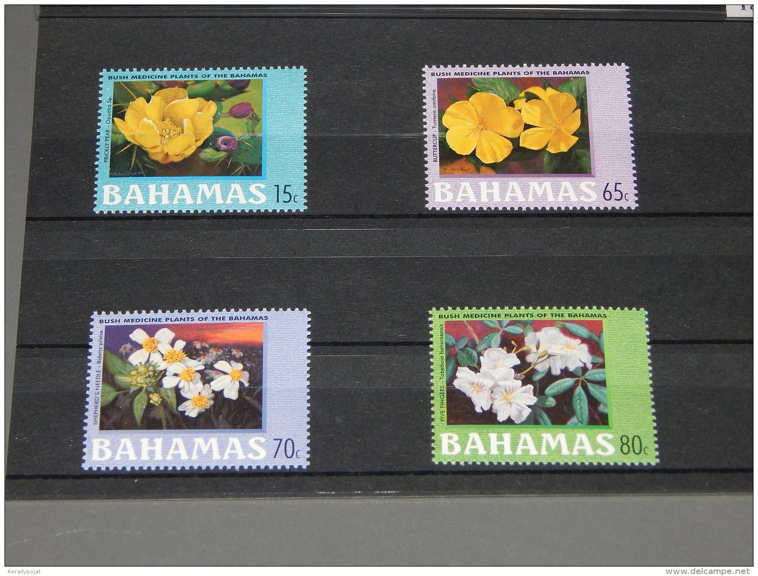 Bahamas - 2000 Medicinal Plants MNH__(TH-18494) - Bahamas (1973-...)