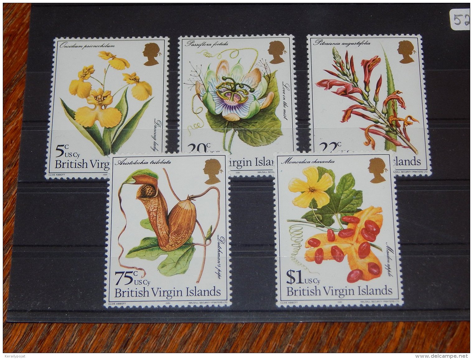 British Virgin Islands - 1981 Flowers MNH__(TH-525) - British Virgin Islands