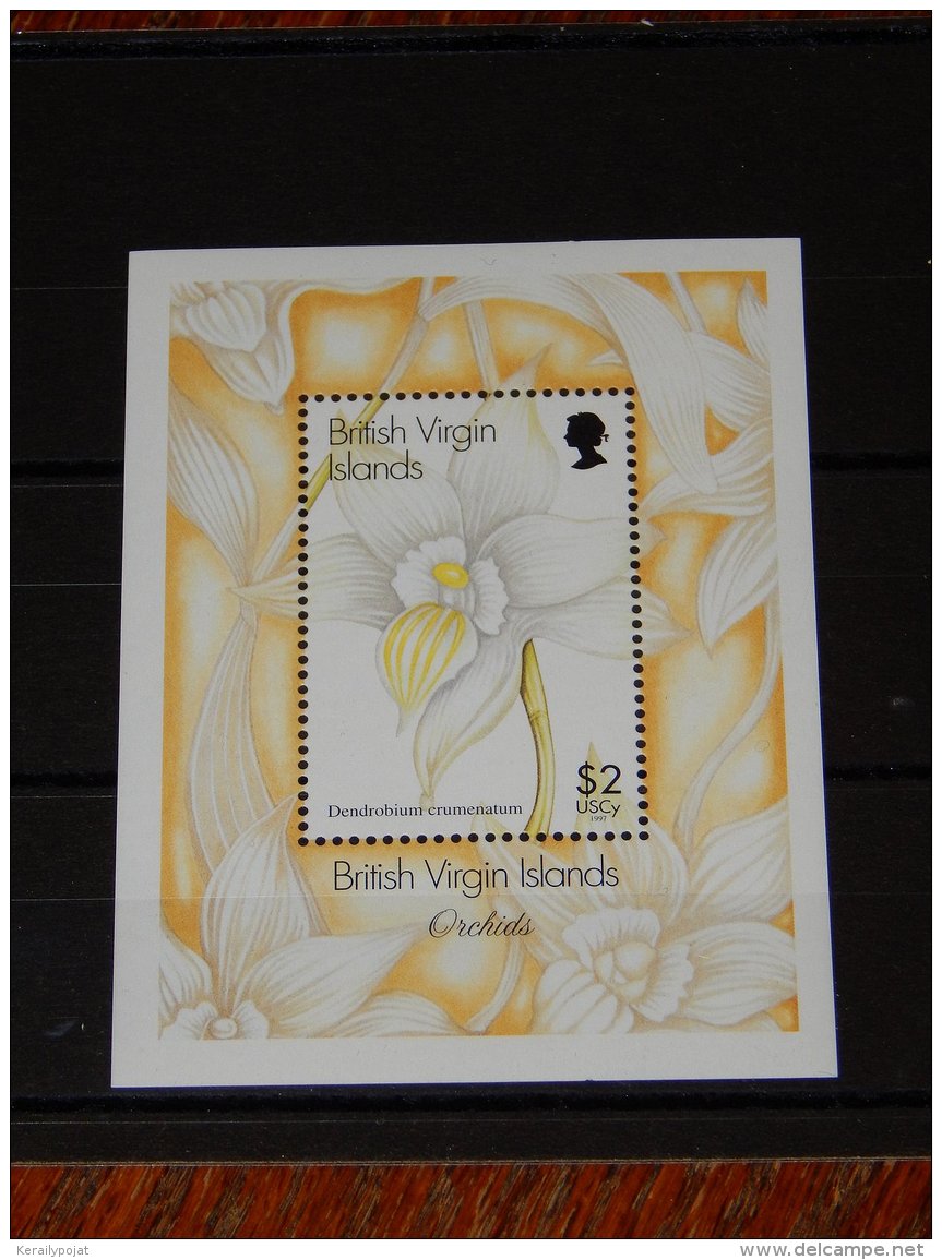 British Virgin Islands - 1997 Orchids Block MNH__(TH-15406) - British Virgin Islands