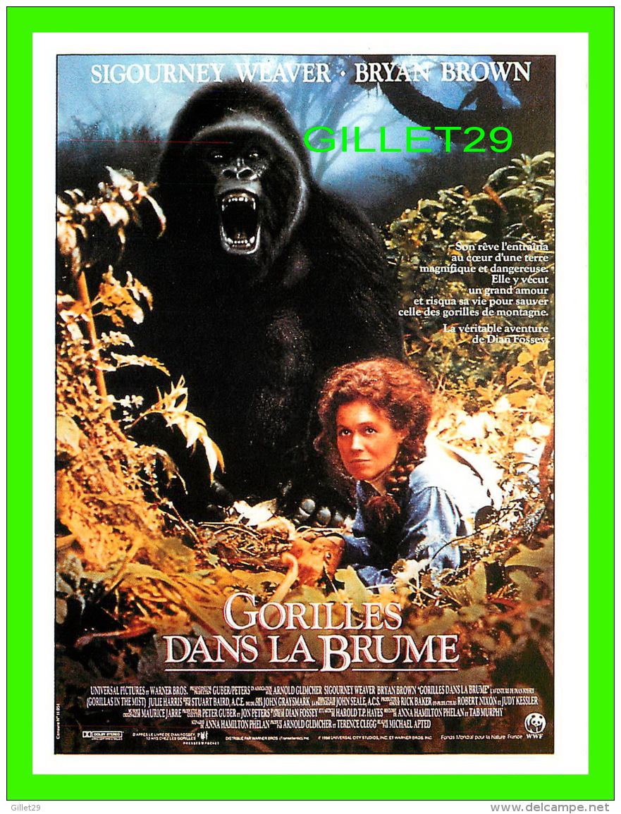 AFFICHES DE CINÉMA - GORILLES DANS LA BRUME - GORILLAS IN THE MIST 1987 - - Affiches Sur Carte