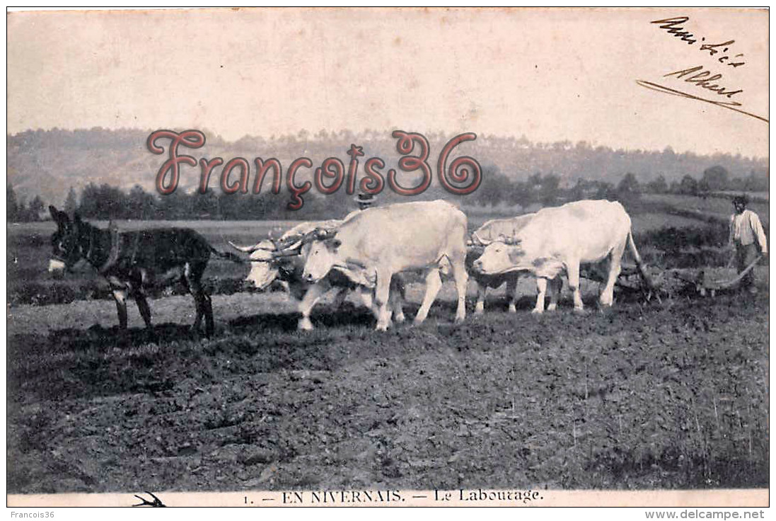 (58) En Nivernais - Le Labourage -  Boeuf âne - 2 SCANS - Andere & Zonder Classificatie