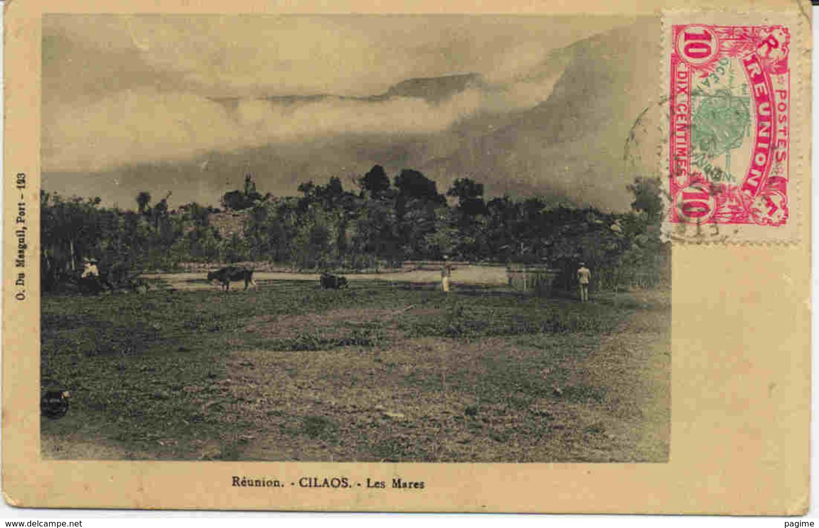 Carte Postale De La Réunion - Covers & Documents