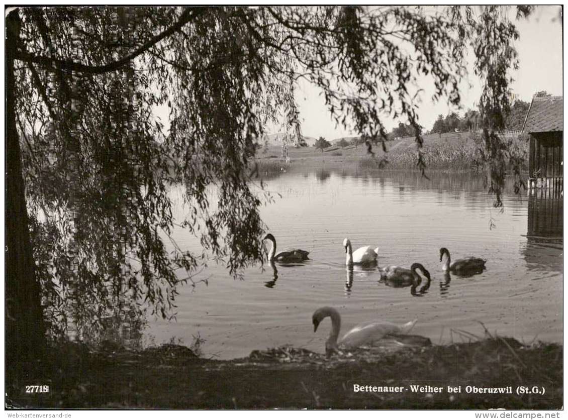 Bettenauer-Weiher Bei Oberuzwil (St.G.) - Uzwil