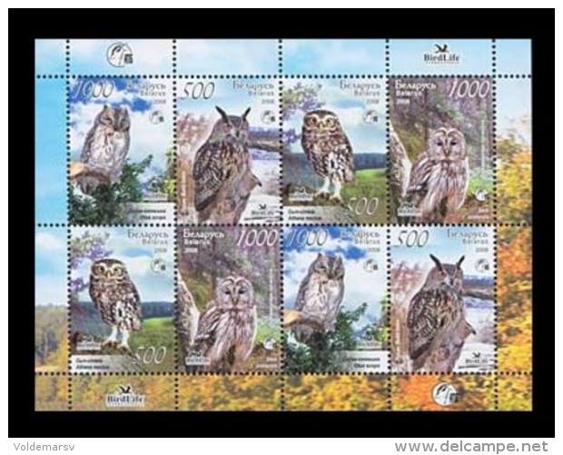 Belarus 2008 Mih. 750/53 Fauna. Birds. Owls (M/S) MNH ** - Bielorussia