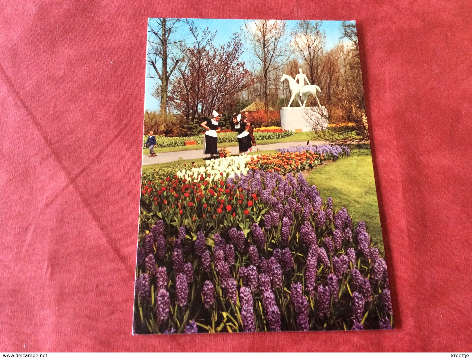 Nederland / Pays-Bas Keukenhof - Fleurs