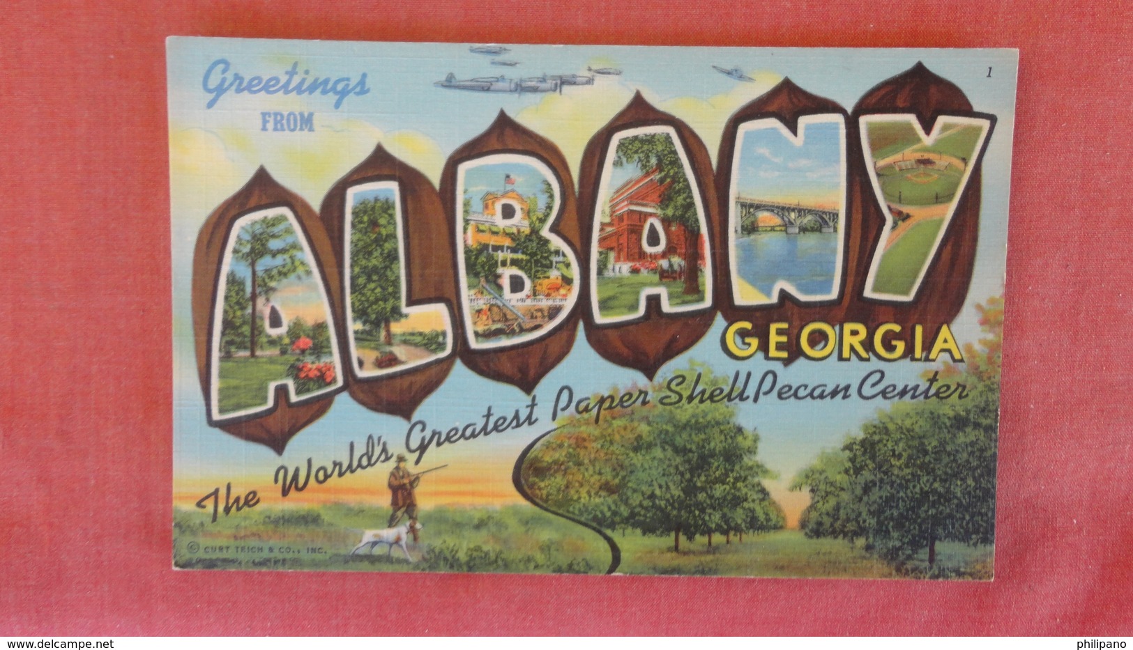 - Georgia > Albany  Greetings --ref 2507 - Albany