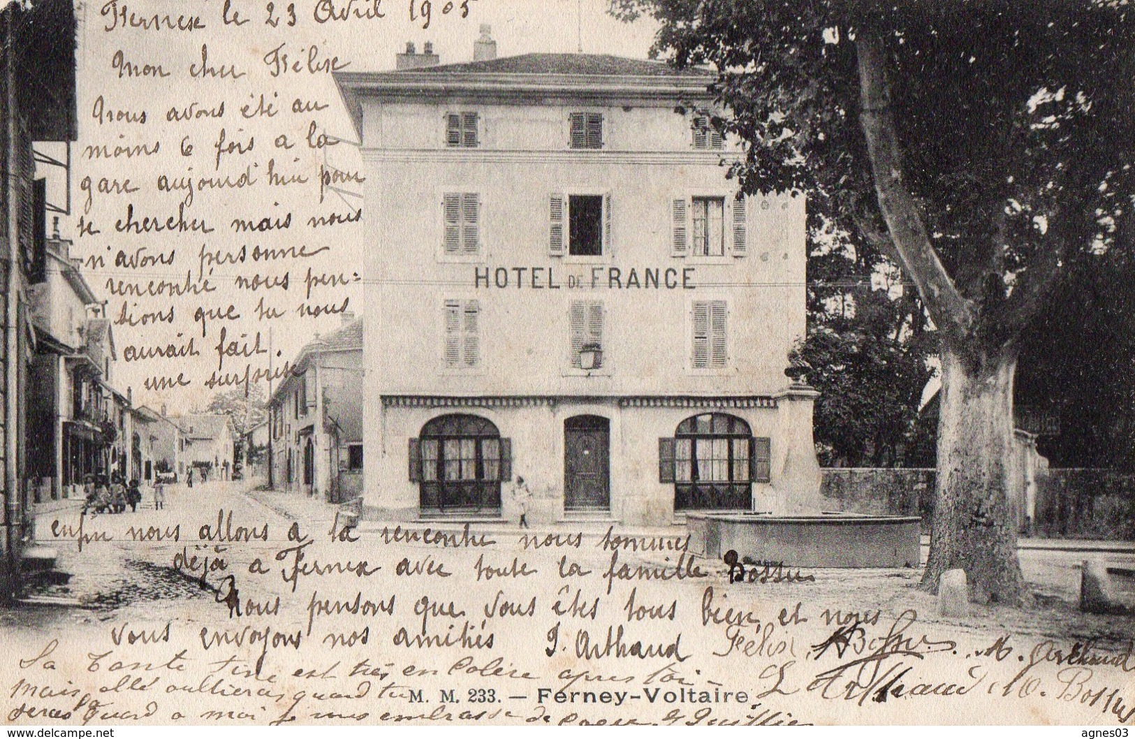 FERNAY  VOLTAIRE   -  Hotel De France - Ferney-Voltaire