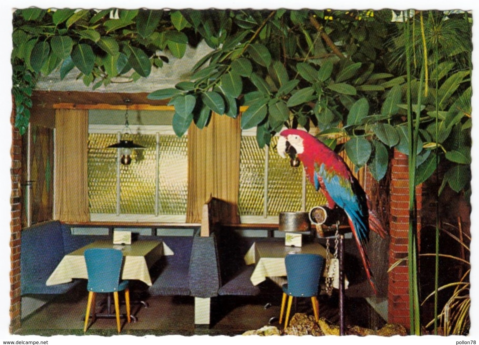 CAFE' FLORIDA, STUDEN-BIEL - MINIGOLF, CAMPING - 1971 - BAR - Caffé