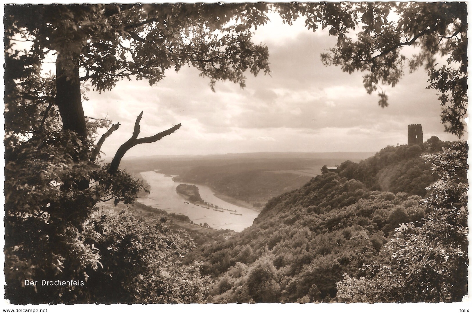 Blick Ins Rheintal Mit Grafenwerth Und Nonnenwerth / Der Drachenfels - Fotokarte F.G. Zeitz - Bad Honnef