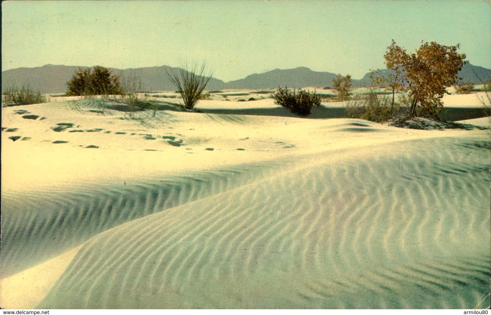 N°2941 QQQ 55  ALBUQUERQUE  RIPPLES OF WHITE SANDS WHITE SNDS NATIONAL MONUMENT NEW MEXICO - Albuquerque