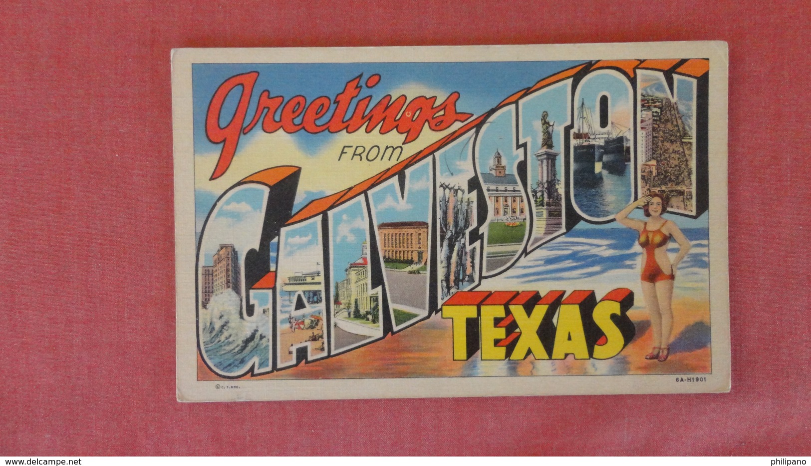 - Texas > Galveston      Greetings --ref 2508 - Galveston